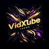VidxTube Theme And Plugins