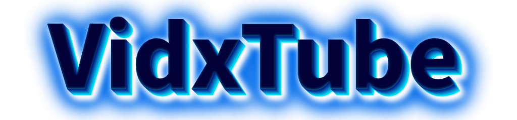 VidxTube WordPress porn theme and plugins